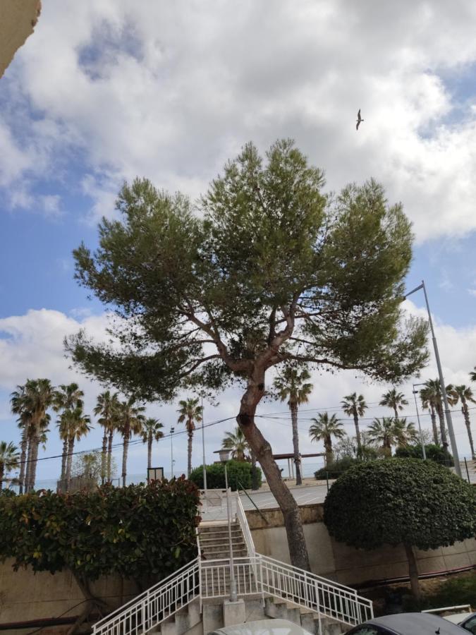 Apartamento Mare Nostrum Playa Arrabassada Tarragona Eksteriør bilde